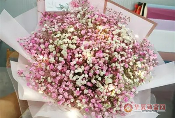 花小象鲜花加盟